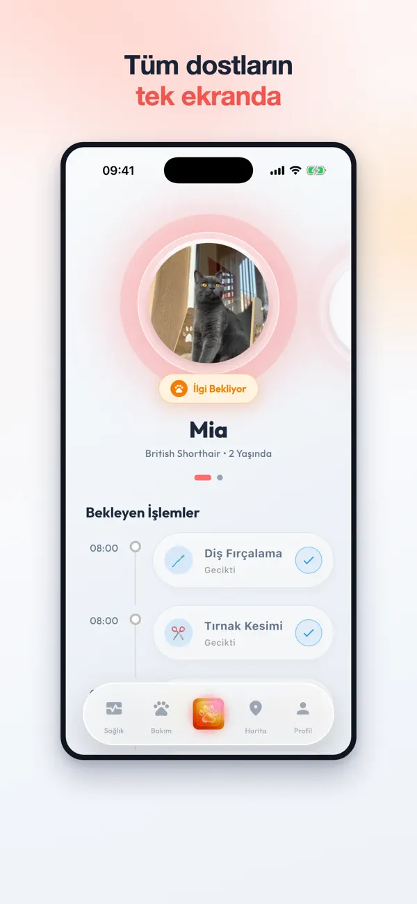 Petilo ekran görüntüsü 1
