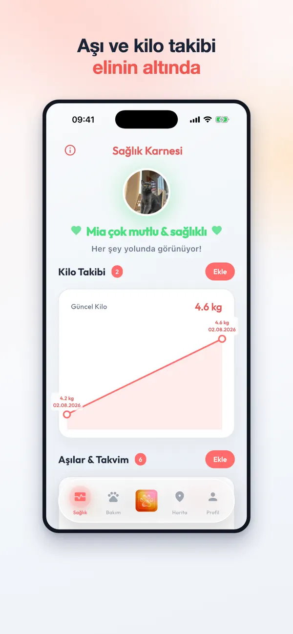 Petilo ekran görüntüsü 2